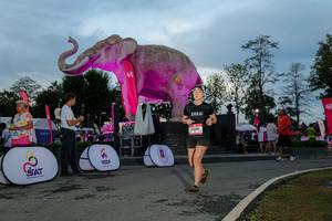 BIB: 
                            <button type="button" onclick="openModal(26529485)" class="btn btn-primary btn-sm float-right btn-popup" data-toggle="modal" data-target=".modal-high-quality">
                        <i class="fas fa-shopping-cart"></i> Add to Cart
                    </button>
                                            <button type="button" onclick="isThisMe(26529485, true)" class="btn btn-success btn-sm float-right btn-popup btn-isme hidden" data-toggle="tooltip" data-placement="bottom" title="นี่คือรูปของคุณใช่ไหม คลิกที่นี่เพื่อเอาเข้าอัลบั้ม">
                        <i class="fas fa-plus"></i> Add to album
                    </button>
                    <button type="button" onclick="isThisMe(26529485, false)" class="btn btn-warning btn-sm float-right btn-popup btn-isnotme hidden">
                        <i class="fas fa-ban"></i> Remove from album
                    </button>